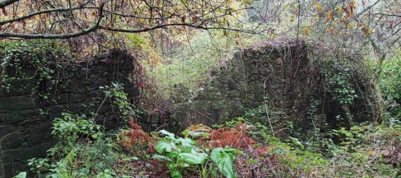 Дом с 9 спальнями в Понти ди Лима, Португалия № 88088 3