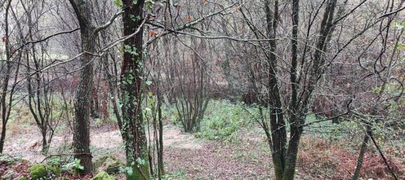 Дом с 9 спальнями в Понти ди Лима, Португалия № 88088 13