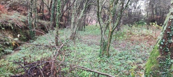 Дом с 9 спальнями в Понти ди Лима, Португалия № 88088 6