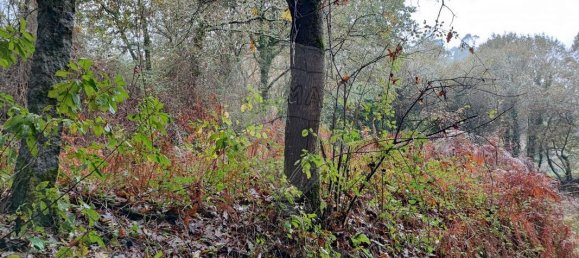 Дом с 9 спальнями в Понти ди Лима, Португалия № 88088 10