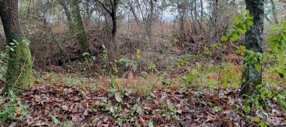 Дом с 9 спальнями в Понти ди Лима, Португалия № 88088 11