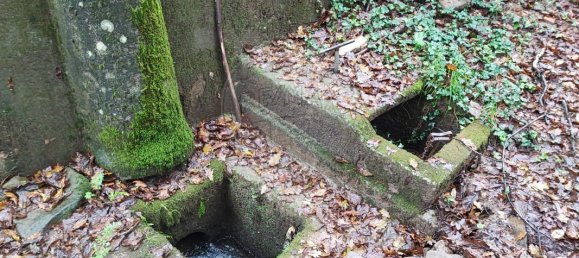 Дом с 9 спальнями в Понти ди Лима, Португалия № 88088 8