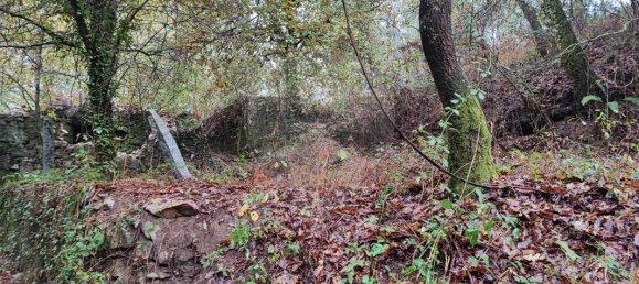 Дом с 9 спальнями в Понти ди Лима, Португалия № 88088 12