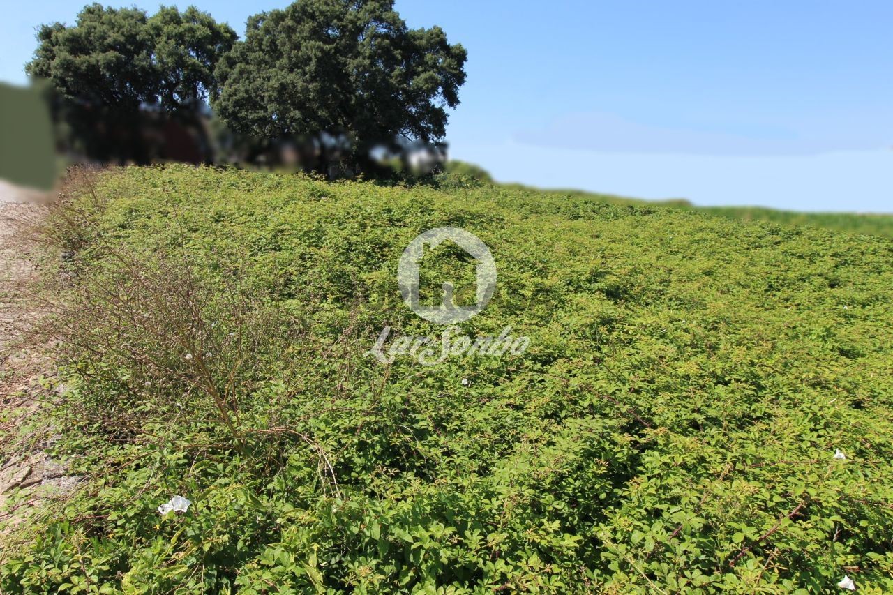 Terrain à Barqueiros, Portugal No. 308500