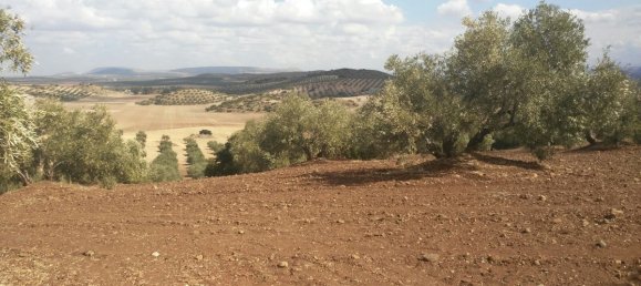 Casa T8 em Antequera, Spain N.º 45057 6