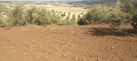 Casa T8 em Antequera, Spain N.º 45057 11