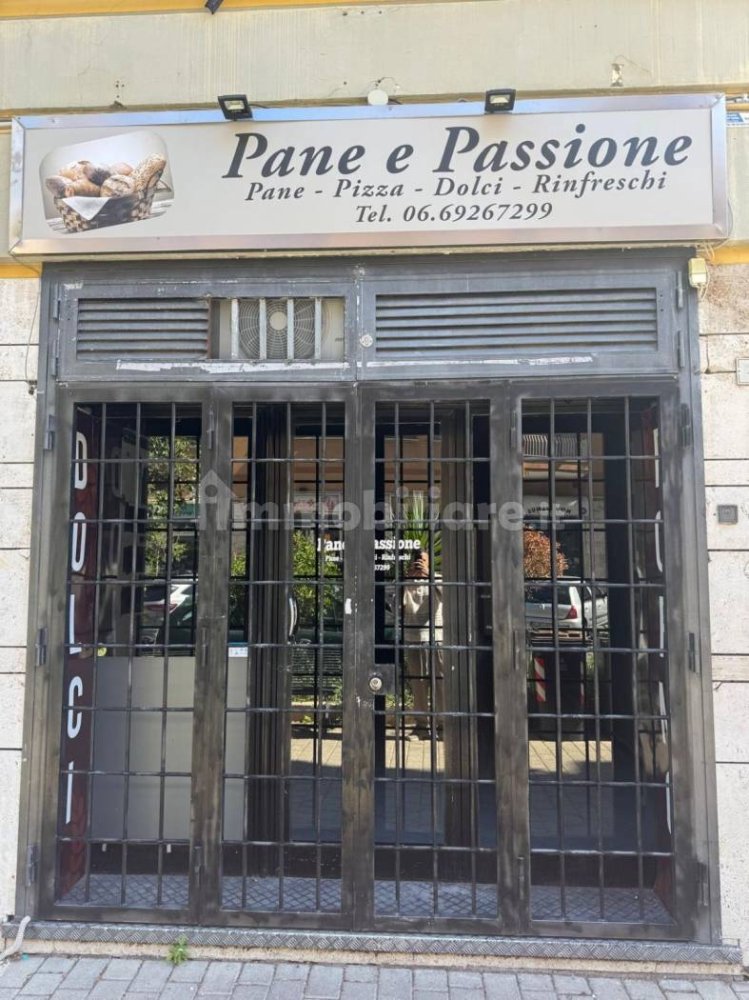 2 rooms Commercial property in Ciampino, Italy No. 311800