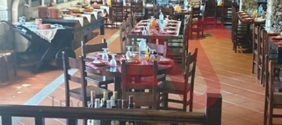 Gewerbliche Immobilie in Vila Real, Portugal 522m², Nr. 208489 12