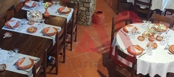 Gewerbliche Immobilie in Vila Real, Portugal 522m², Nr. 208489 11