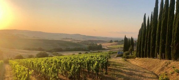 1350m² Commercial property in Montalcino, Italy No. 339403 14