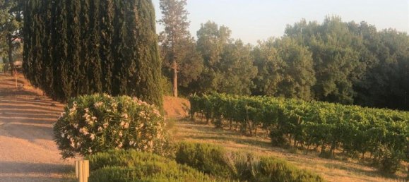 1350m² Commercial property in Montalcino, Italy No. 339403 13