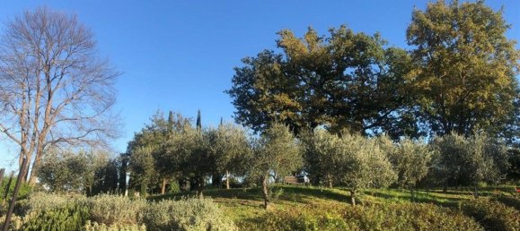 1350m² Commercial property in Montalcino, Italy No. 339403 8