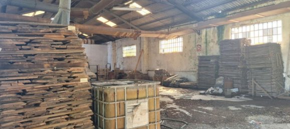 6641m² Warehouse in Bovolone, Italy No. 329351 16