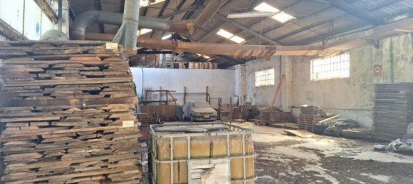 6641m² Warehouse in Bovolone, Italy No. 329351 17