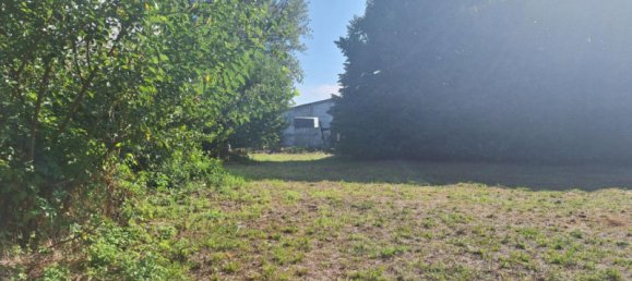 6641m² Warehouse in Bovolone, Italy No. 329351 4