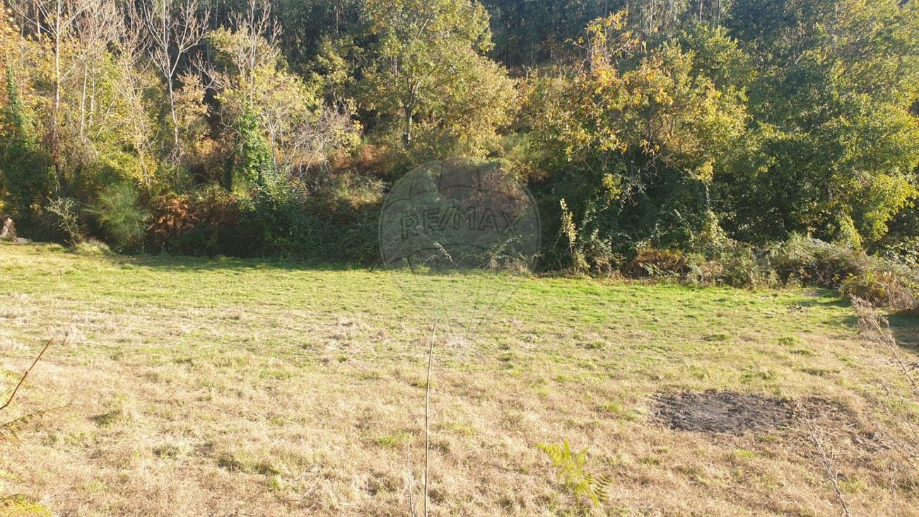1470m² Land in Marco de Canaveses, Portugal No. 45014