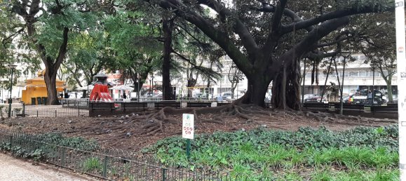 Apartamento de 1 dormitorio en Lisbon, Portugal No. 155195 20