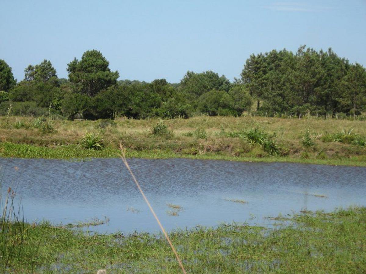 Ферма в Мальдонадо, Уругвай № 15656