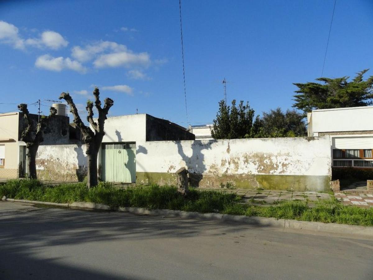  Land in Buenos Aires, Argentina No. 113747