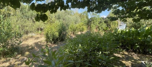 2 bedrooms House in Pontinia, Italy No. 322780 17