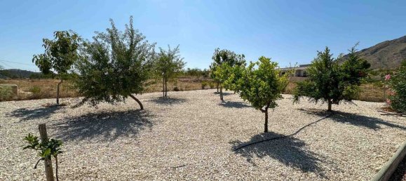 3 bedrooms Villa in Hondon De Las Nieves, Spain No. 182816 37