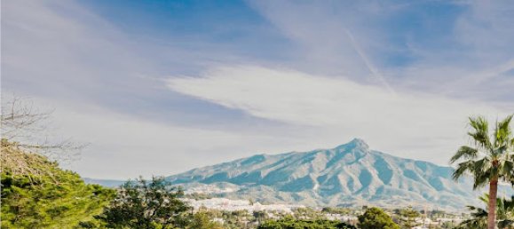 5 chambres Villa à Marbella, Spain No. 179639 12