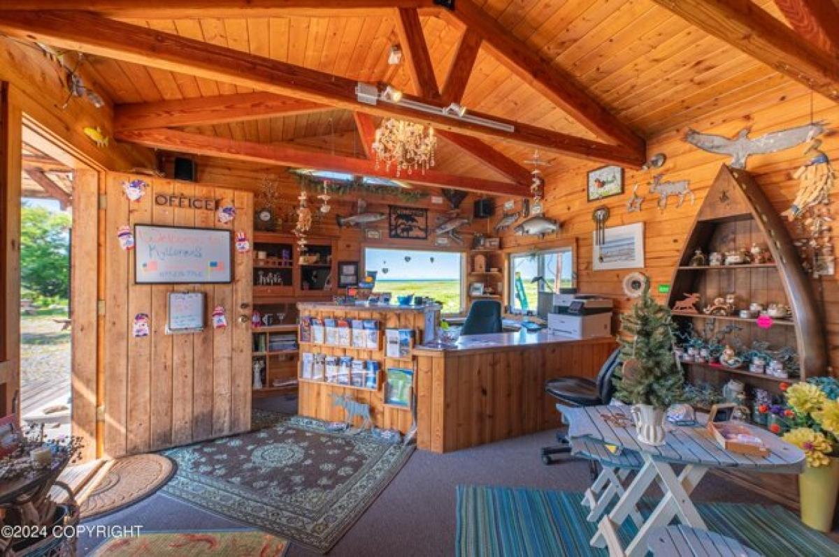  Land in Anchor Point, USA No. 486582