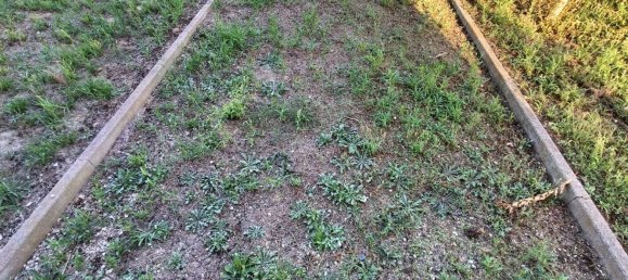 6 bedrooms Villa in Lugo, Italy No. 320097 5