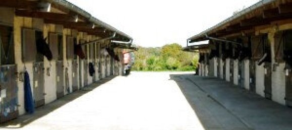 4 غرف نوم منزل في Orleans, France رقم 90580 9