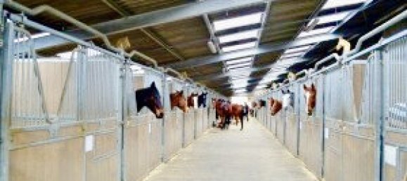 4 غرف نوم منزل في Orleans, France رقم 90580 16