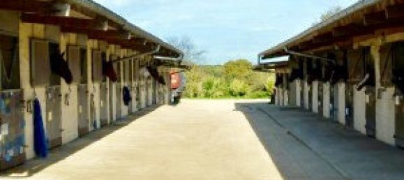 4 غرف نوم منزل في Orleans, France رقم 90580 13