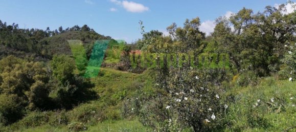 170000m² Land in Marmelete, Portugal No. 72276 7