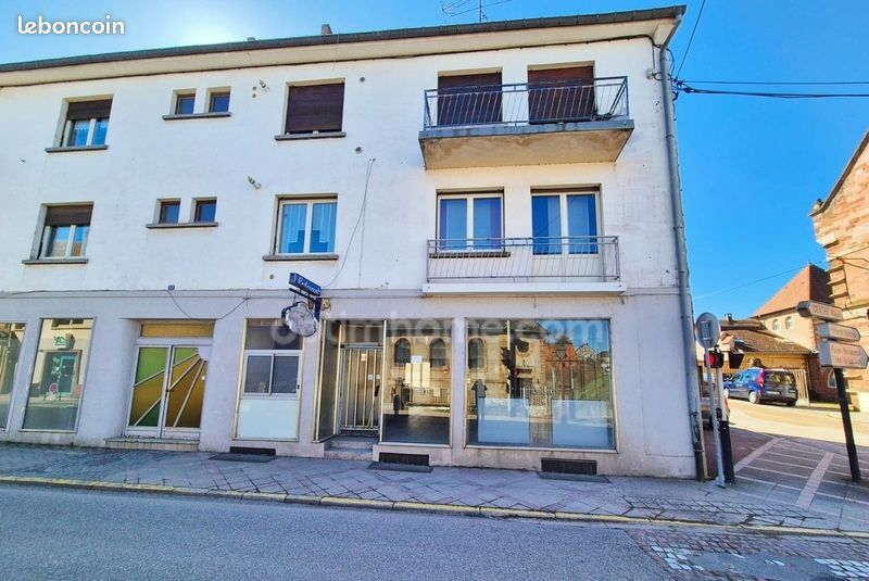 325m² Building in Bitche, France No. 189446