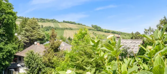 Вилла с 6 комнатами в Клоштернойбург, Австрия № 146939 2