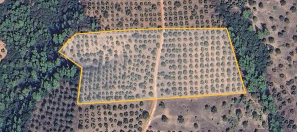 Terra em Chalkidiki, Greece 27000 m² N.º 93780 2