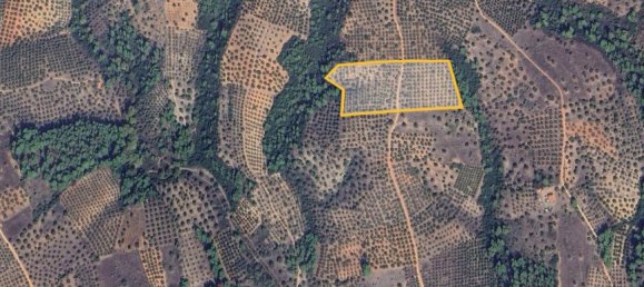 Terra em Chalkidiki, Greece 27000 m² N.º 93780 4