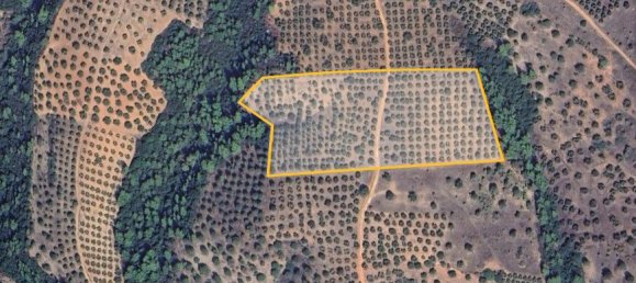 Terra em Chalkidiki, Greece 27000 m² N.º 93780 3