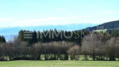  Land in Kirchschlag bei Linz, Austria No. 204012