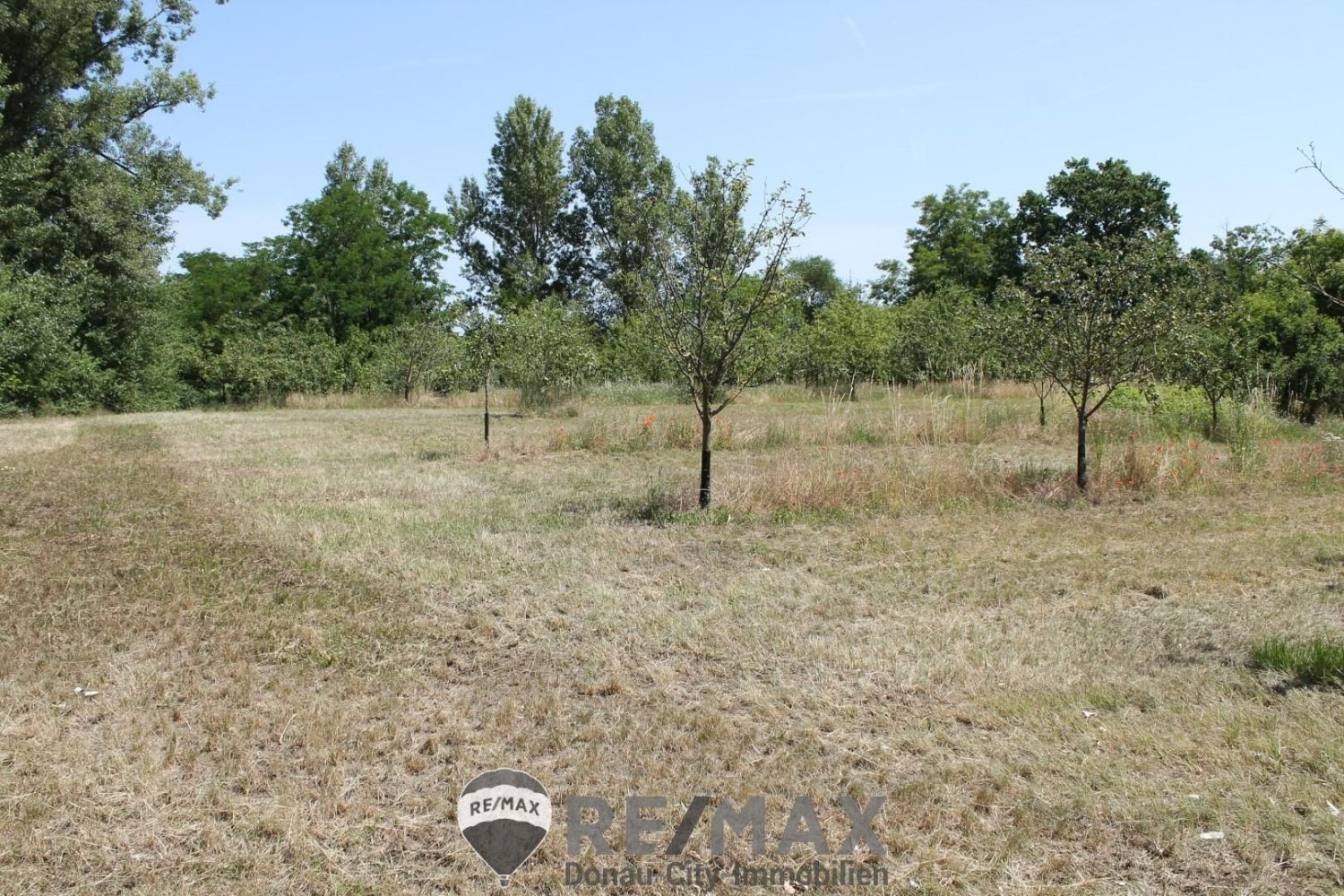 Grundstück in Sierndorf, Austria, Nr. 126694