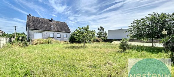 5 bedrooms House in Olivet, France No. 58662 6