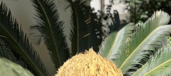 Apartment 1+1 in Antalya, Turkey No. 33763 21