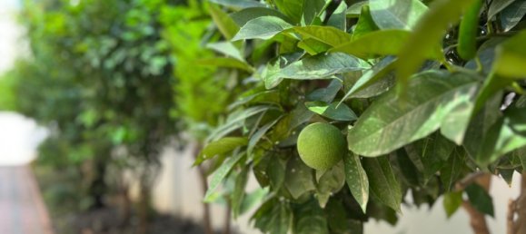 Apartment 1+1 in Antalya, Turkey No. 33763 18