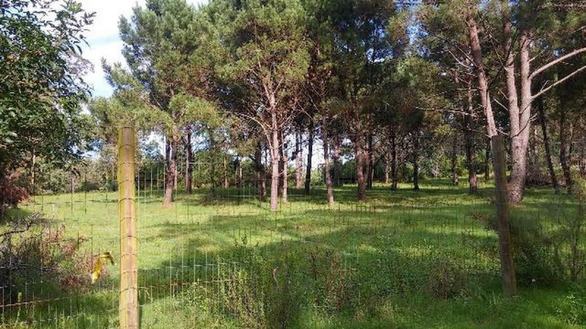  Land in Maldonado, Uruguay No. 14430