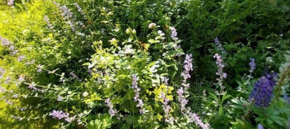 7غرفة منزل في Luneburg, Germany رقم 368655 37