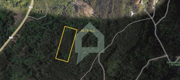 4679m² Land in Barcelos, Portugal No. 27640 6