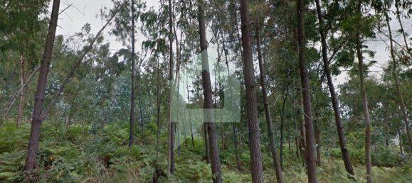 4679m² Land in Barcelos, Portugal No. 27640 4