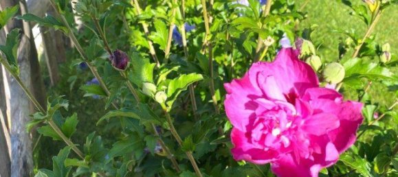 Dúplex de 4 habitaciónes en Zell am See, Austria No. 227996 21