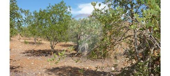 100m² Land in Albufeira, Portugal No. 43071 4