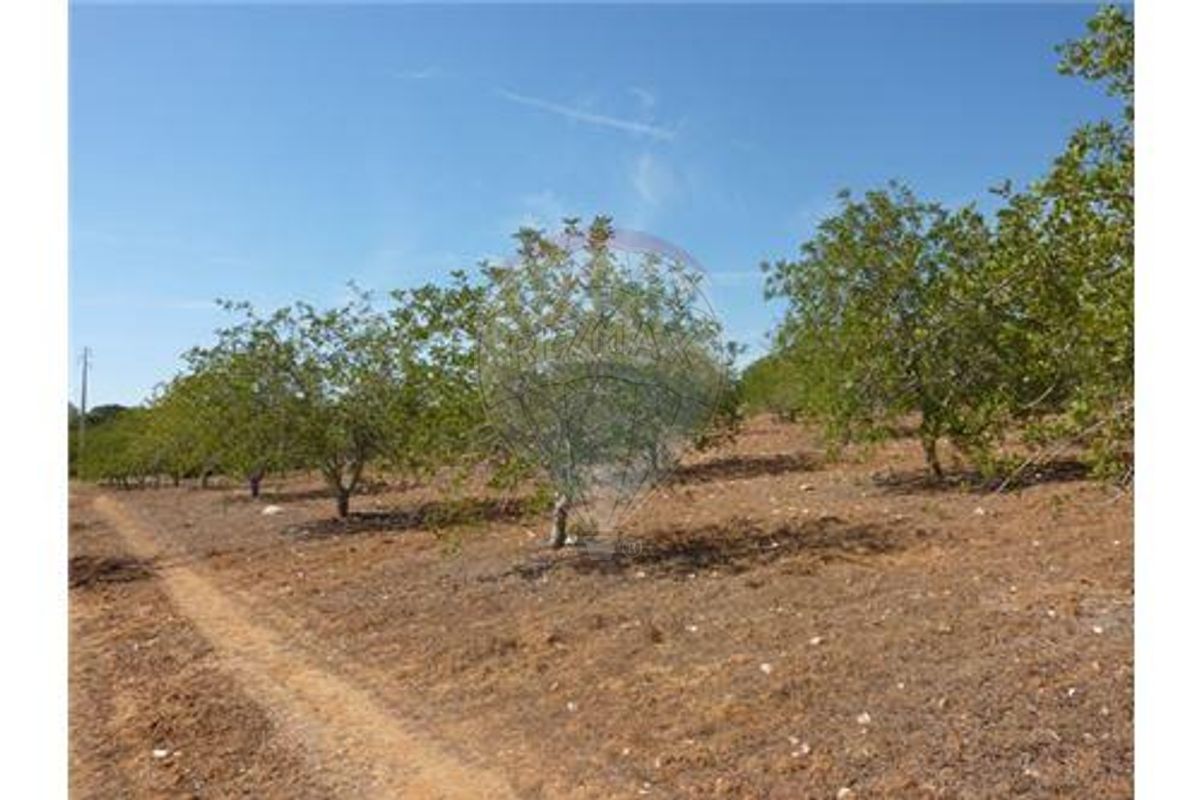 100m² Land in Albufeira, Portugal No. 43071