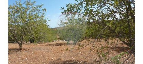 100m² Land in Albufeira, Portugal No. 43071 9